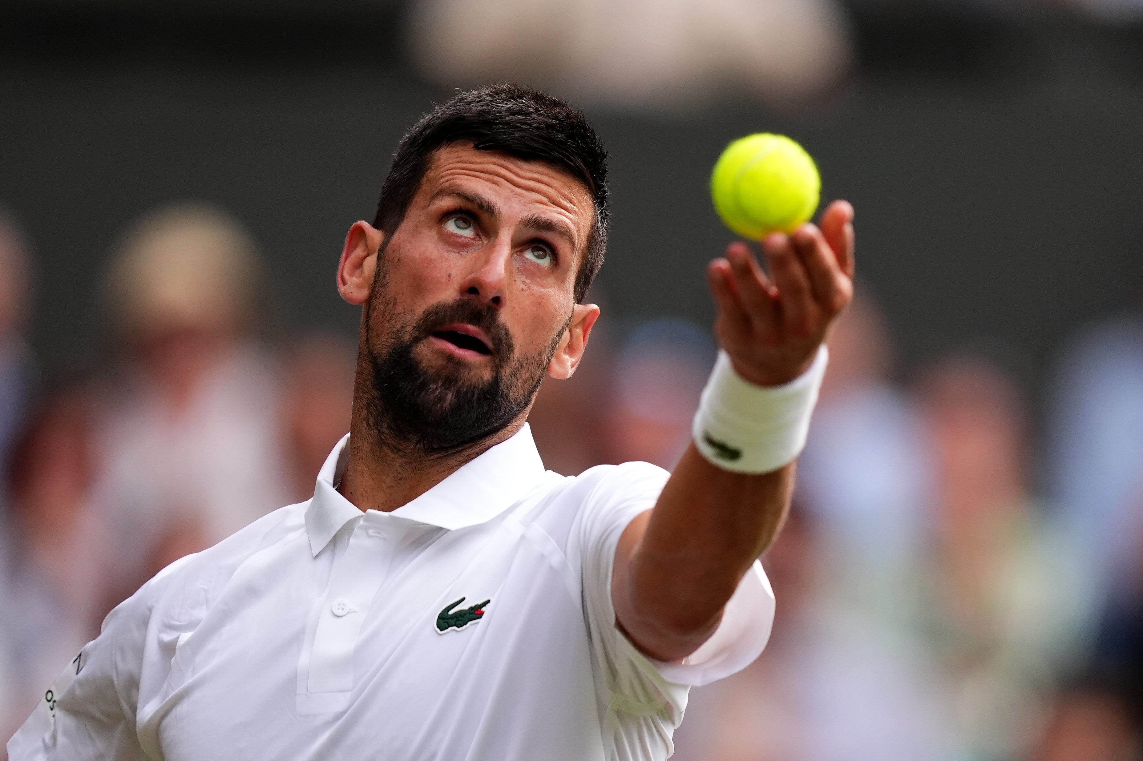 Djokovic se prepara para servir contra Kecmanovic