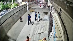 Pet lion escapes and attacks a woman and two children in the street