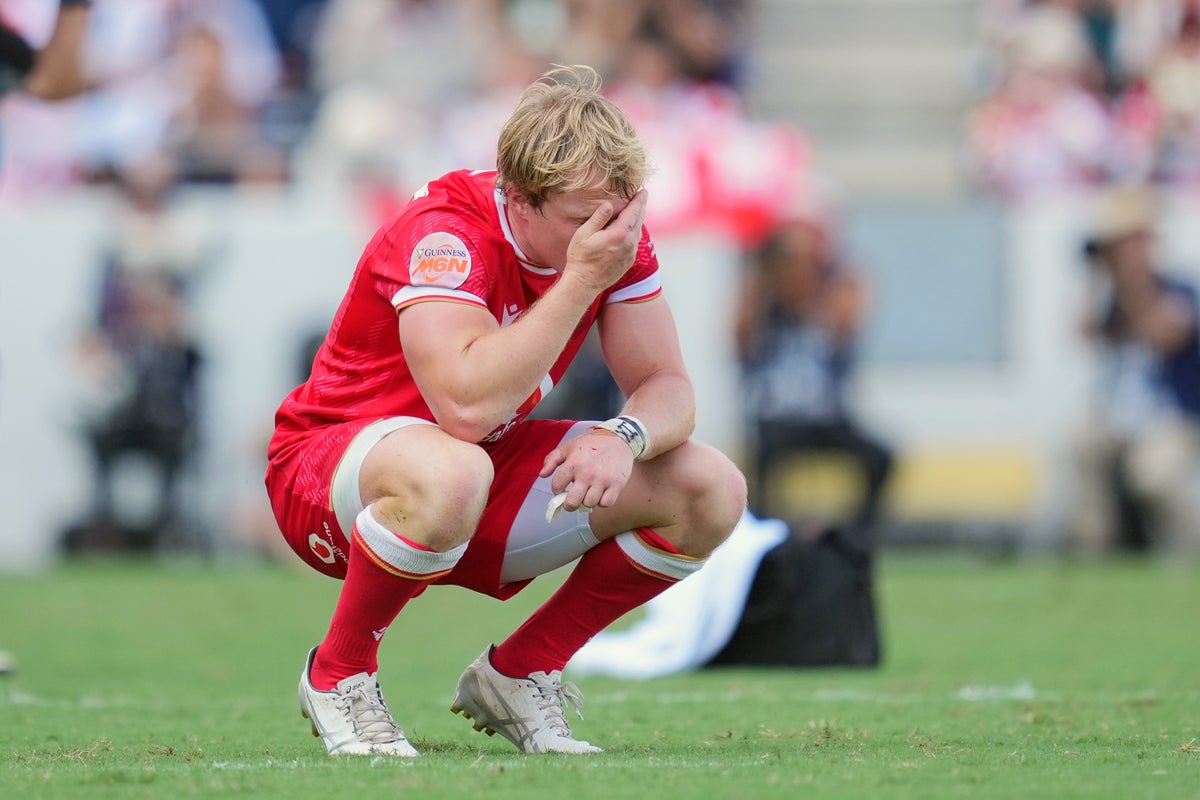 Wales stunned by Japan as long losing run hits desperate new low