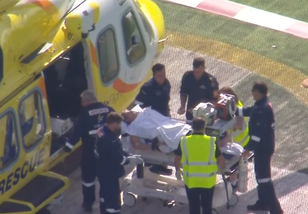 Woman mauled by lion in zoo enclosure airlifted to hospital