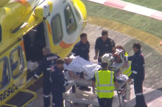 Woman ‘loses arm’ in lion attack at Australian zoo