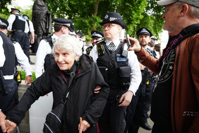 Metropolitan Police officers removing 83-year-old Reverend Sue Parfitt from a protest in support of Palestine Action (Jeff Moore/PA)