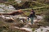 Texas floods latest: 21 children among dozens dead as search continues