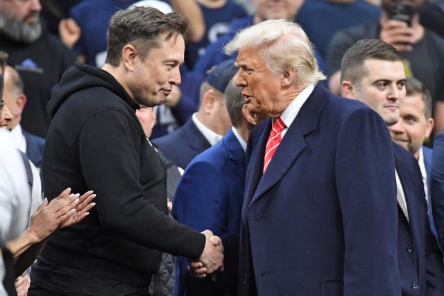 <p>Elon Musk has had a public falling out with President Donald Trump </p>