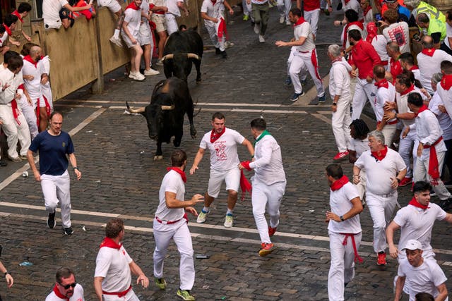 One man gored and others bruised in Spain’s bull running festival | The ...