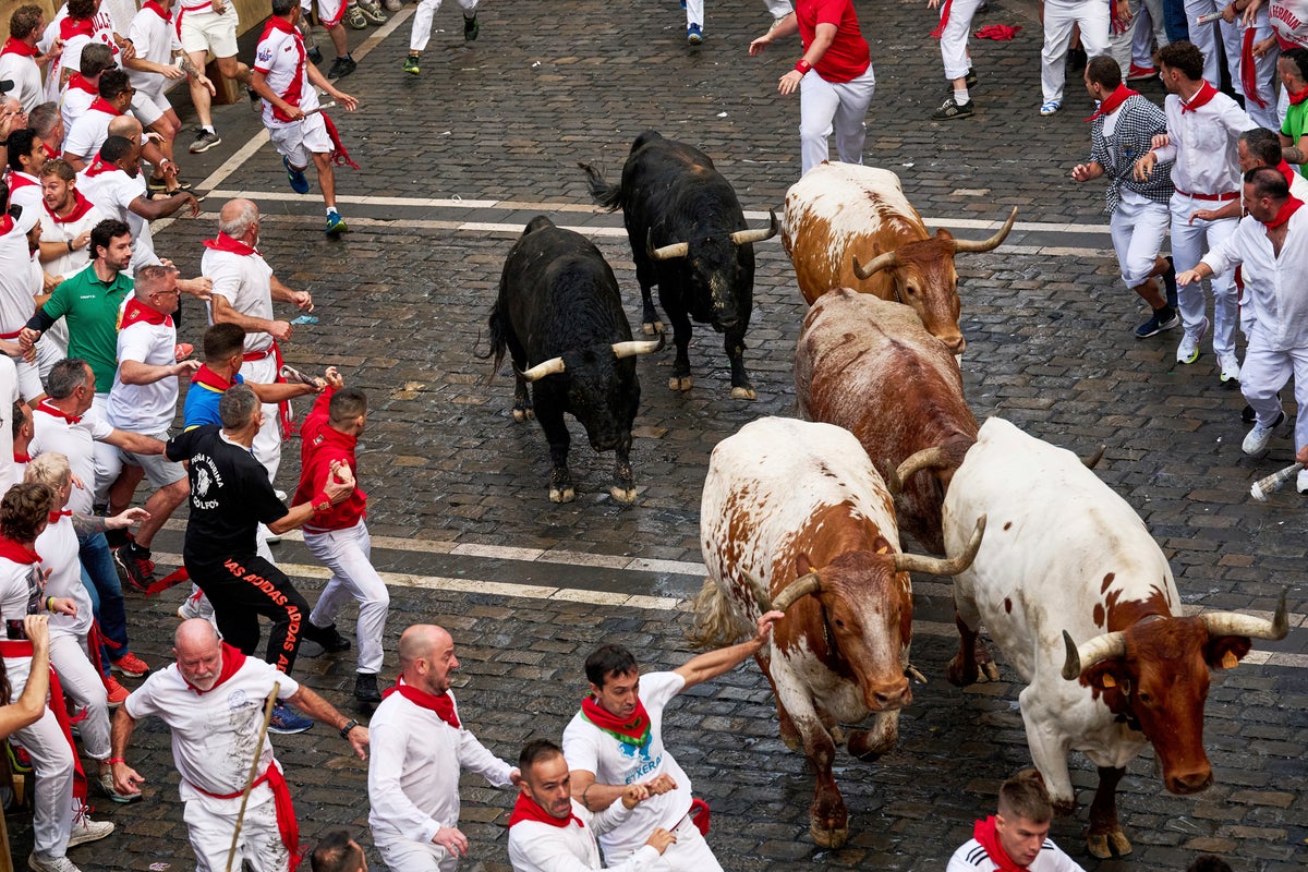 Pamplona holds opening bull run during San Fermín festival