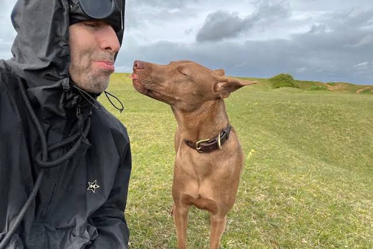 ‘Remarkable’ true story of Oasis dog on band’s concert graphics revealed
