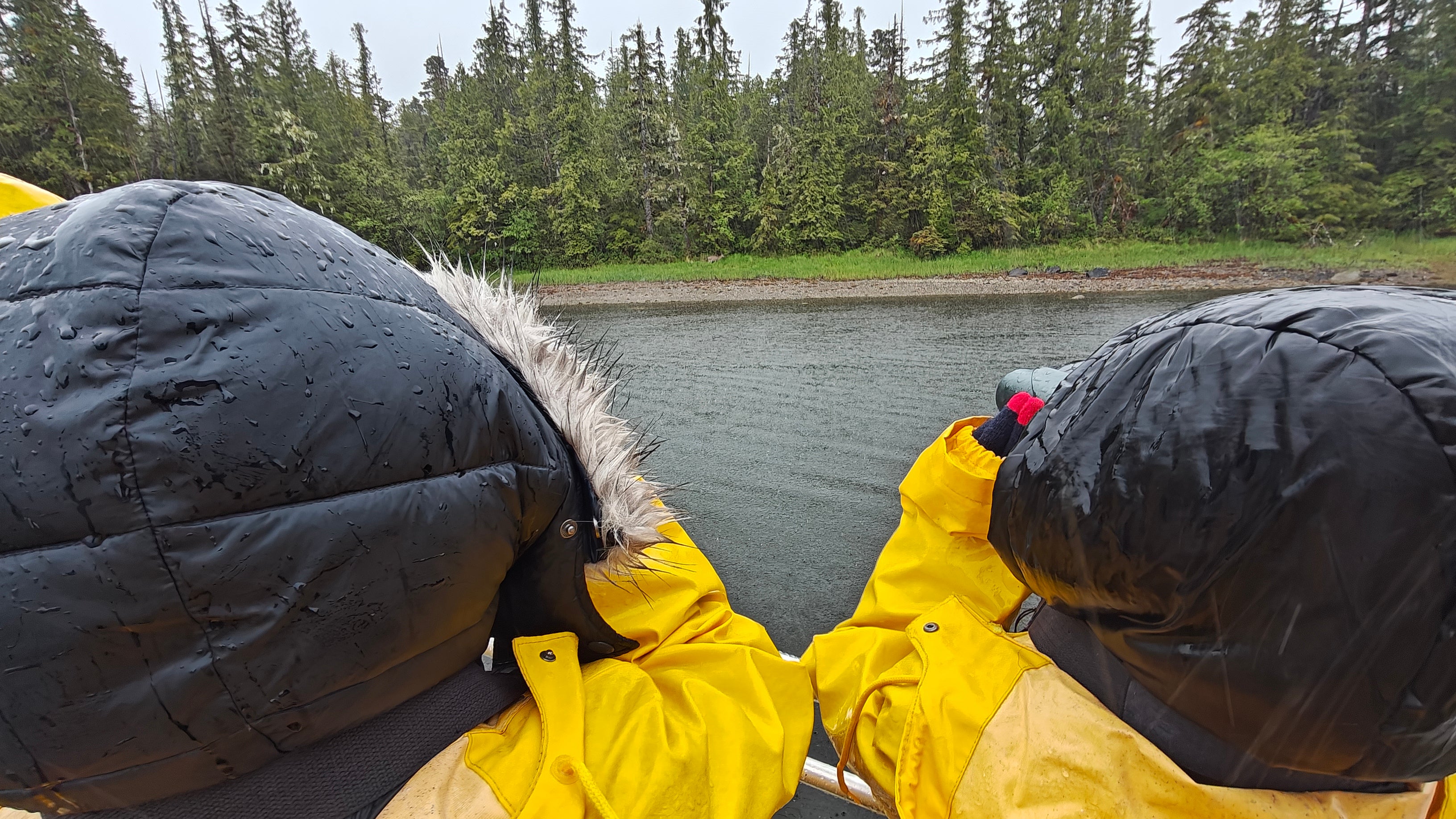A wet wildlife cruise in Ketchikan meant much of the wildlife stayed away