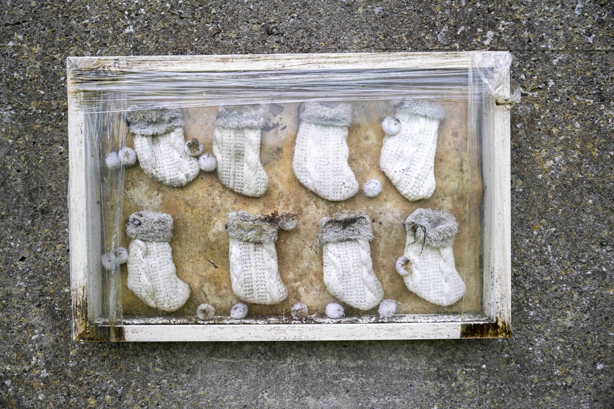 Excavation to begin at Irish mother and baby home where 796 infants were buried in septic tank