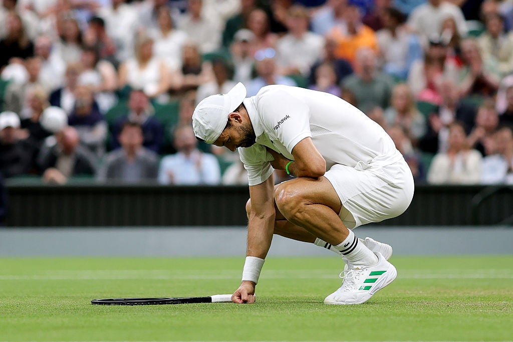 Grigor Dimitrov dropped to the turf in pain in the third set