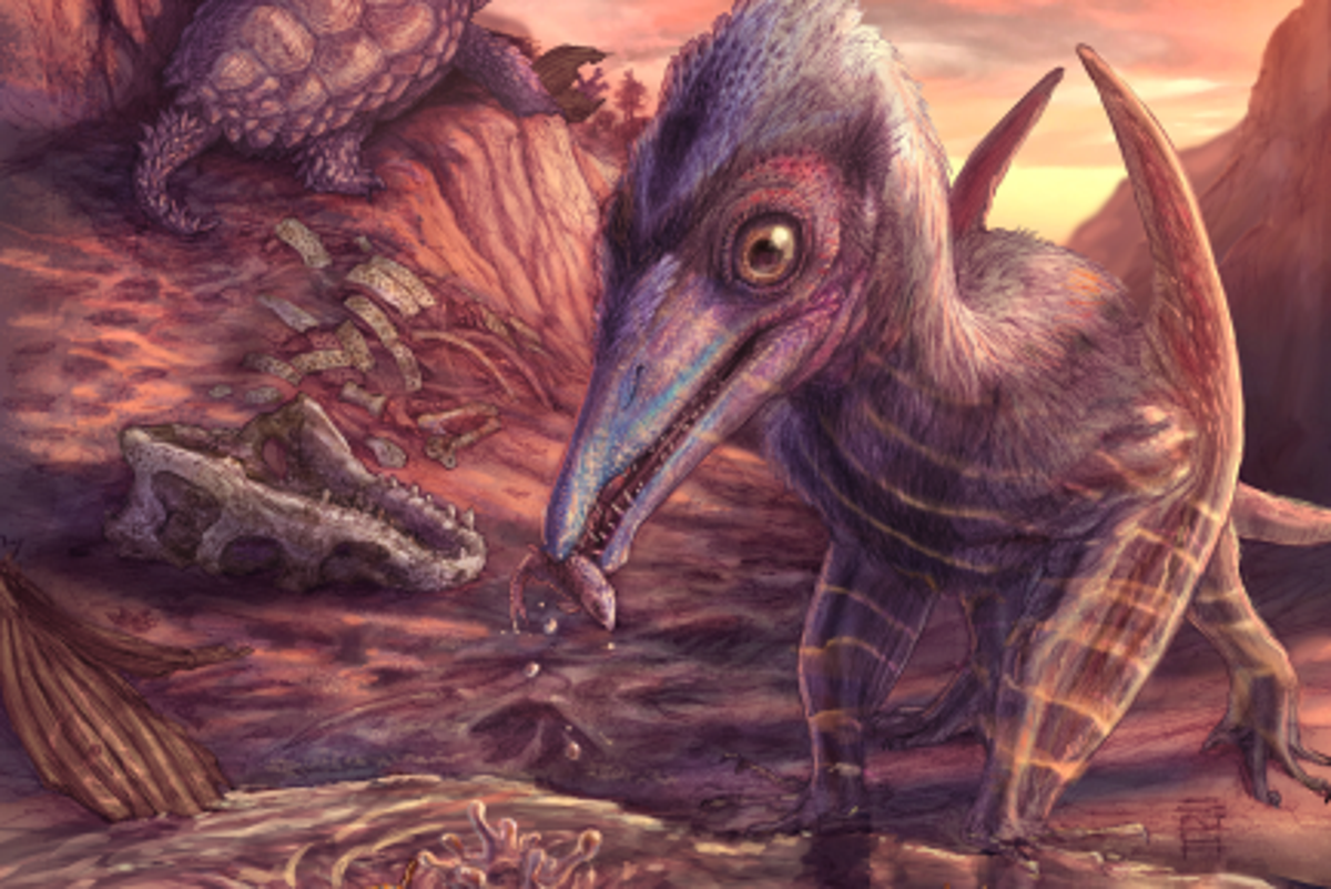 New species of flying reptile that lived among dinosaurs 200 million years ago discovered
