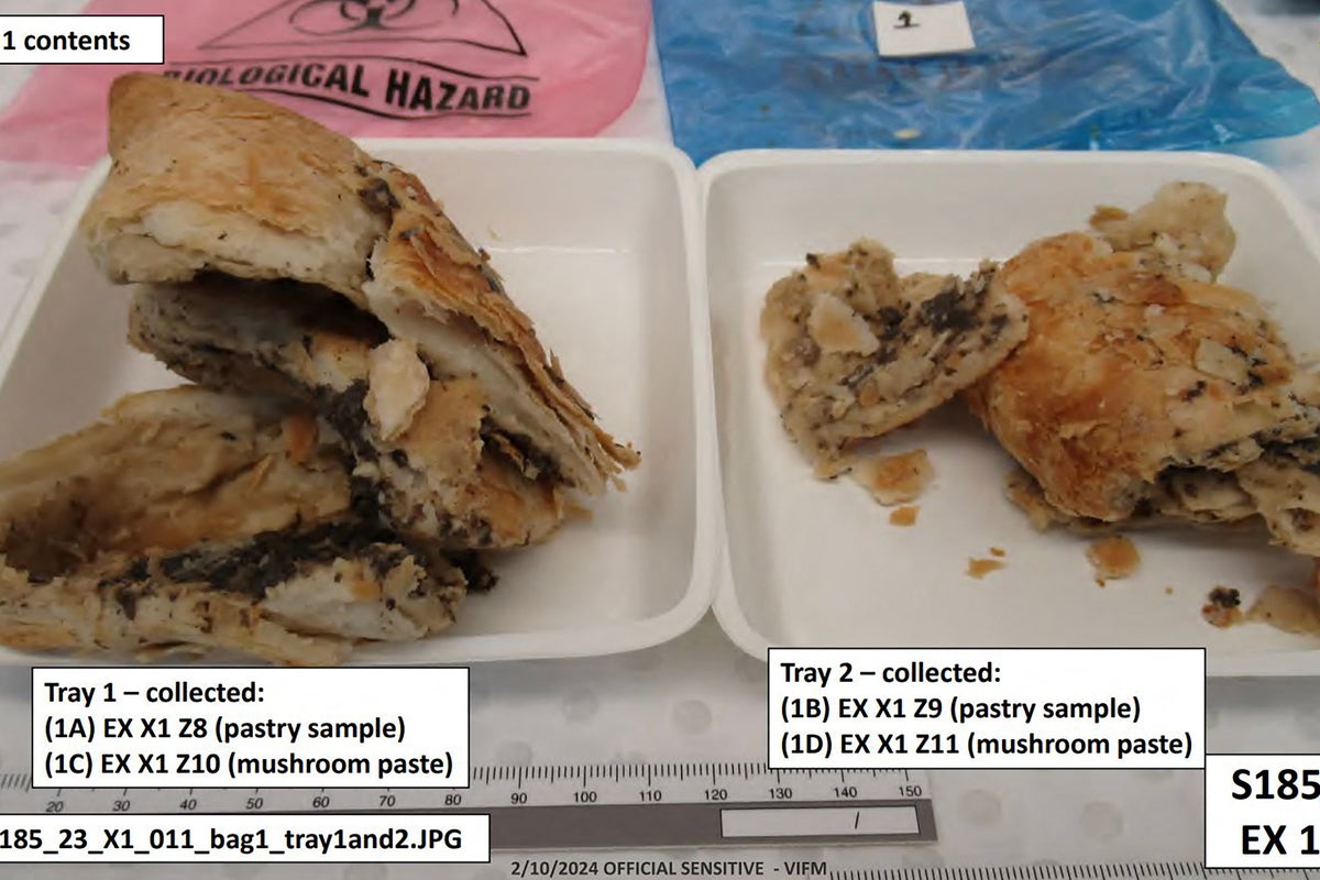 Erin Patterson trial latest: First photos of deadly beef wellington mushroom lunch released