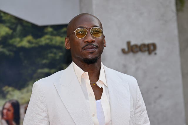 <p>Mahershala Ali </p>