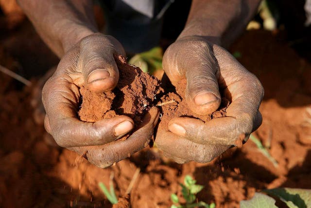 The UK’s climate finance commitments come from its aid budget (PA)