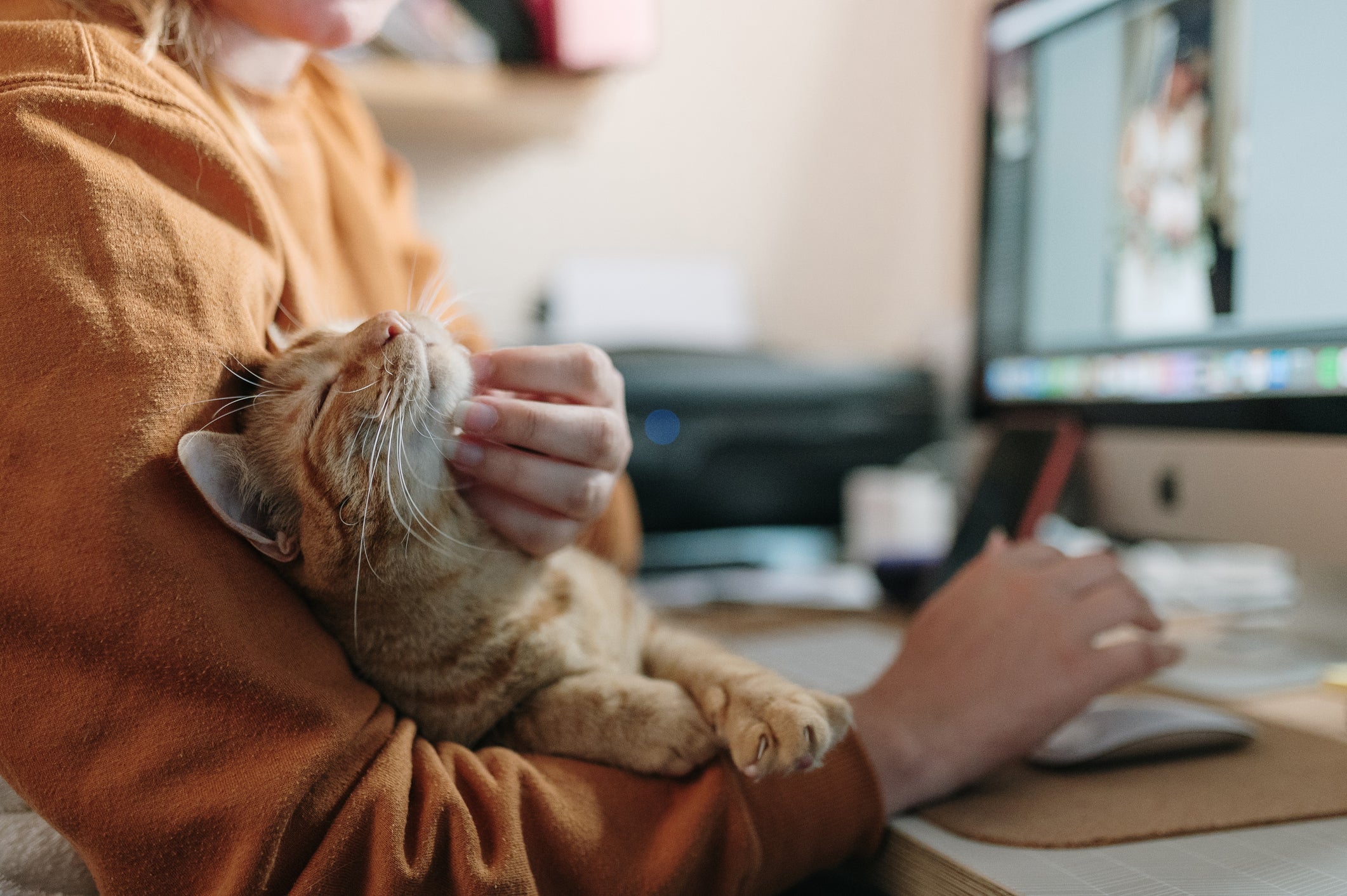 Cats show their love for humans in some surprising ways