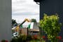 Excavation begins for remains of 800 infants at Ireland home