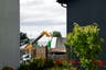 Excavation begins for remains of 800 infants at Ireland home
