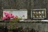 Forensic archaeologists flown in to analyse mass grave