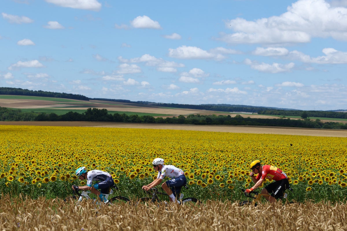 Tour de France 2025 LIVE: Stage 4 result and reaction as Pogacar and Van der Poel eye stage win in frantic finish
