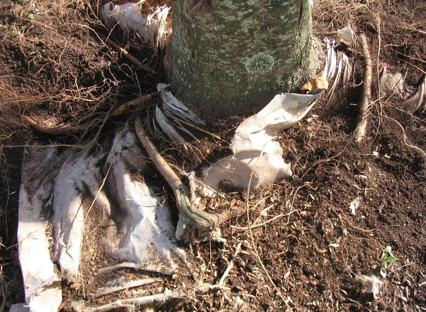 Gardening - Landscape Fabrics