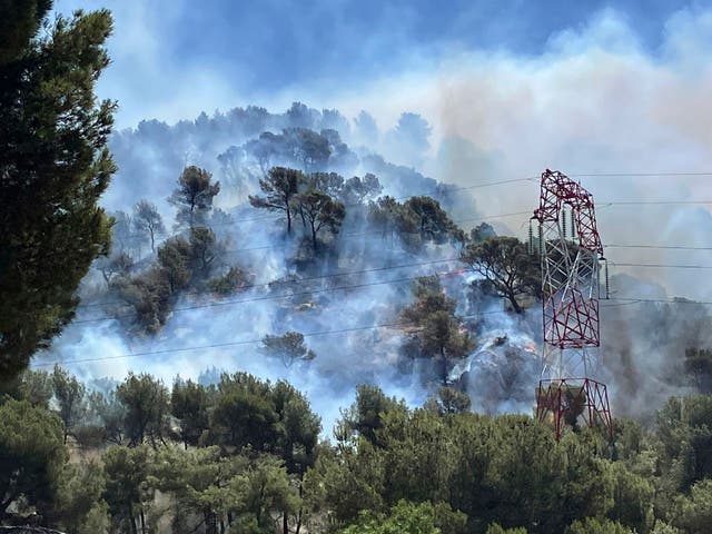 <p>Smoke rises during a wildfire in Pennes-Mirabeau, near Marseille</p>