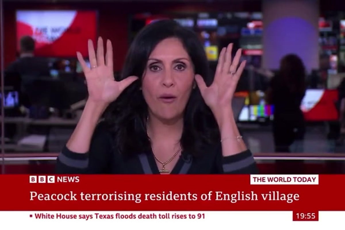 BBC presenter makes peacock noises on air, two years on from middle finger incident