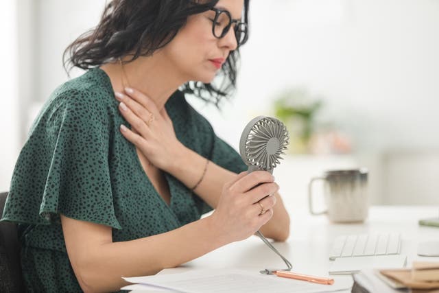 <p>Elinzanetant has been given the green light from the MHRA tackle hot flushes in women experiencing the menopause.</p>