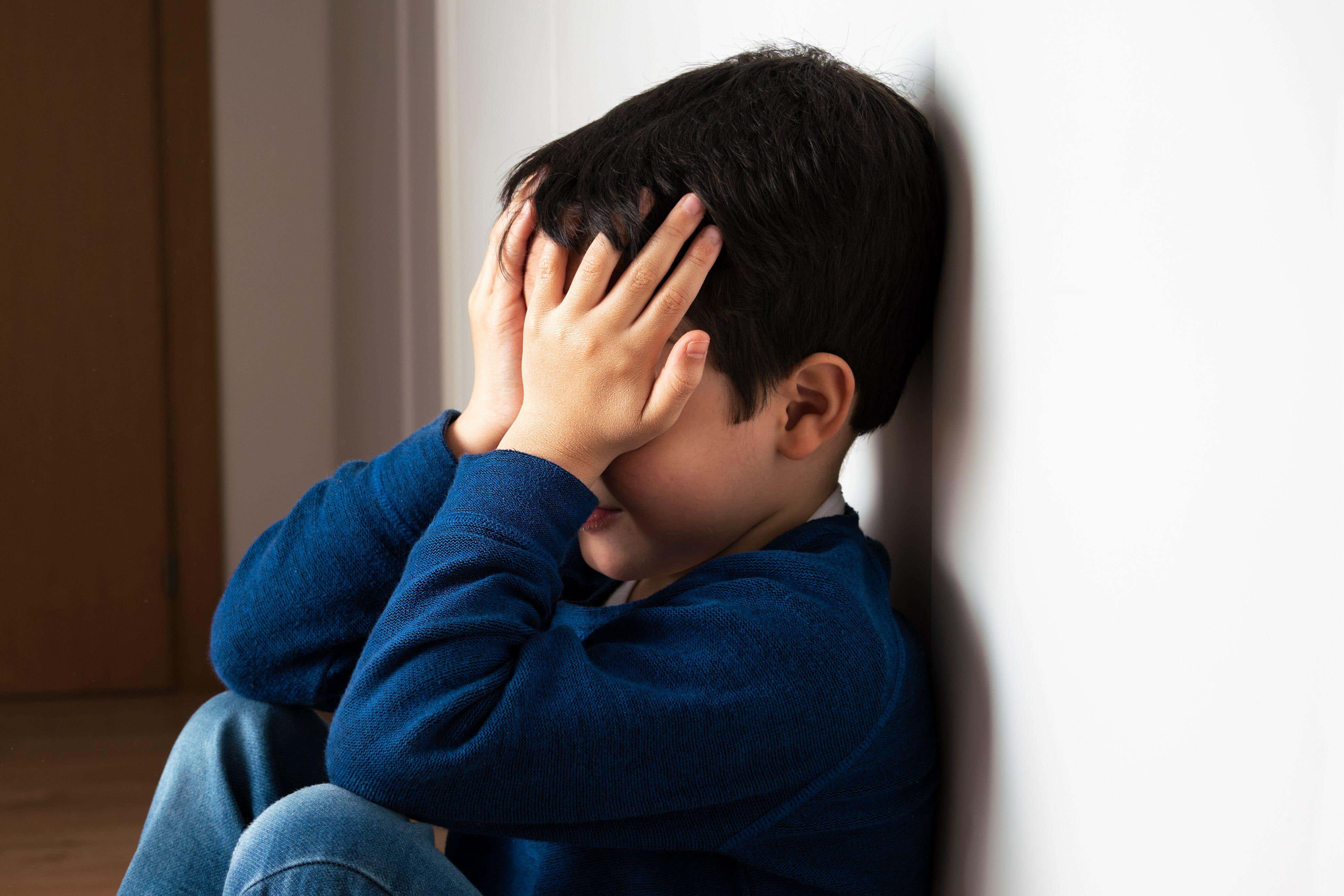 Convicted paedophile brands residential school abuse allegations 'rubbish'  | The Independent