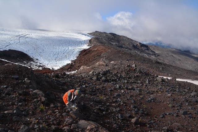 <p>Pablo Moreno-Yaeger collects samples near the caldera of Mocho-Choshuenco</p>