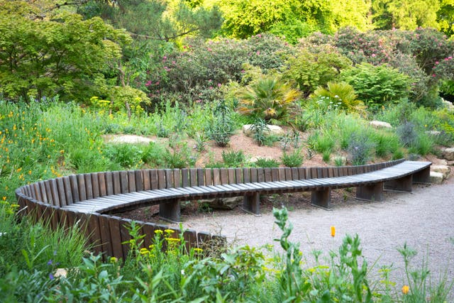 The new garden for the future focuses on resilience (National Trust Images/James Dobson/PA)