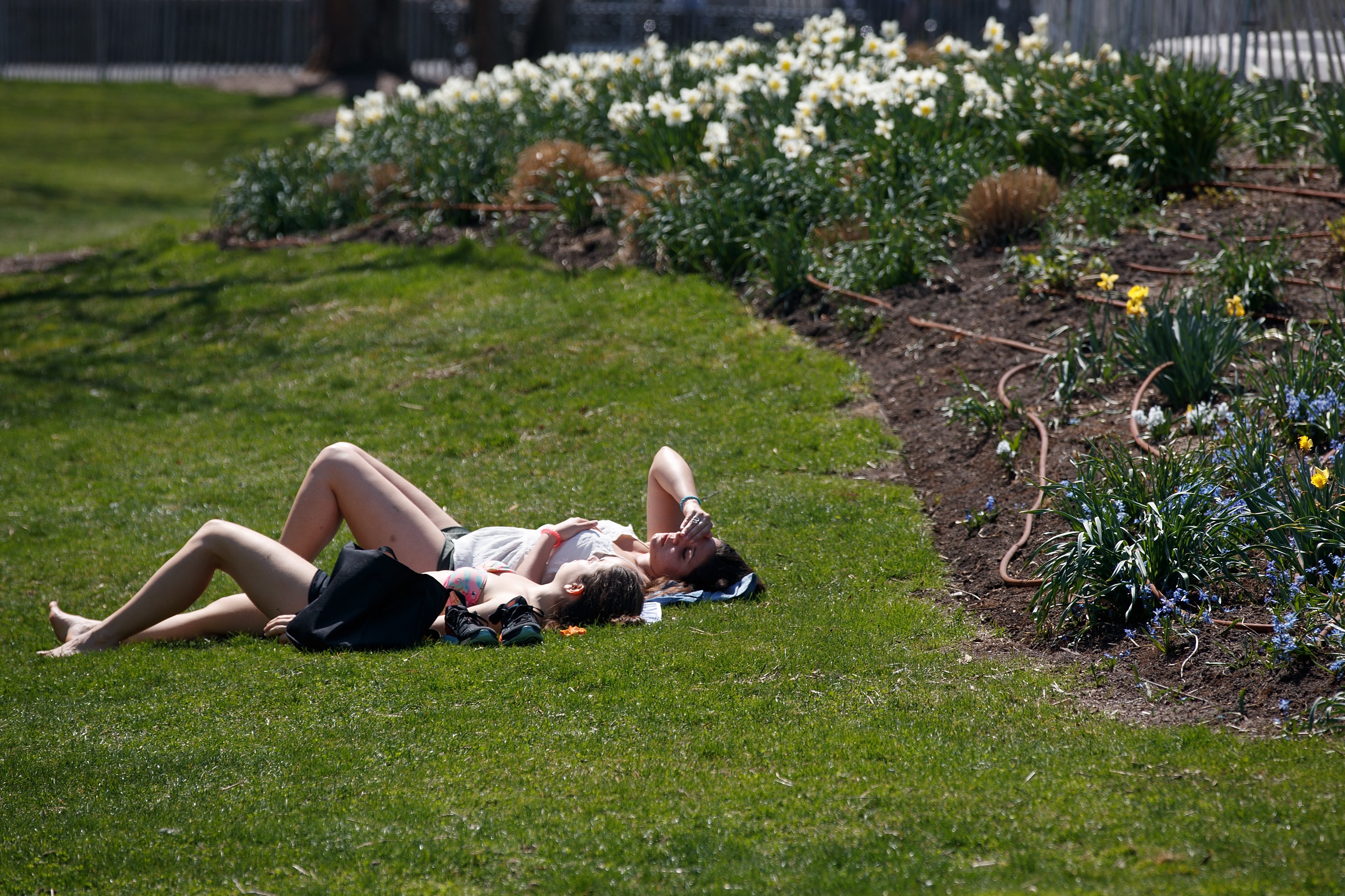 The health benefits of sunshine