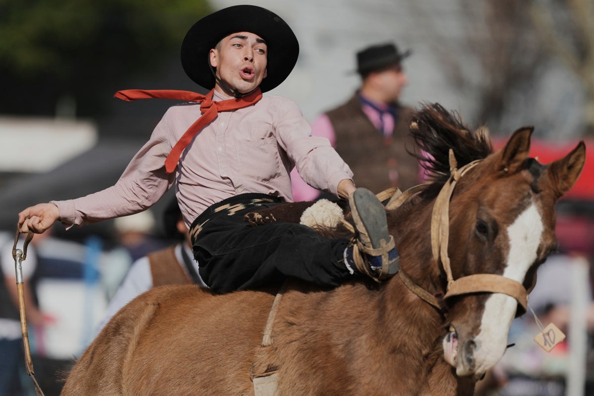 In photos, gauchos mark Argentina's Independence Day with bronco riding and barbecue