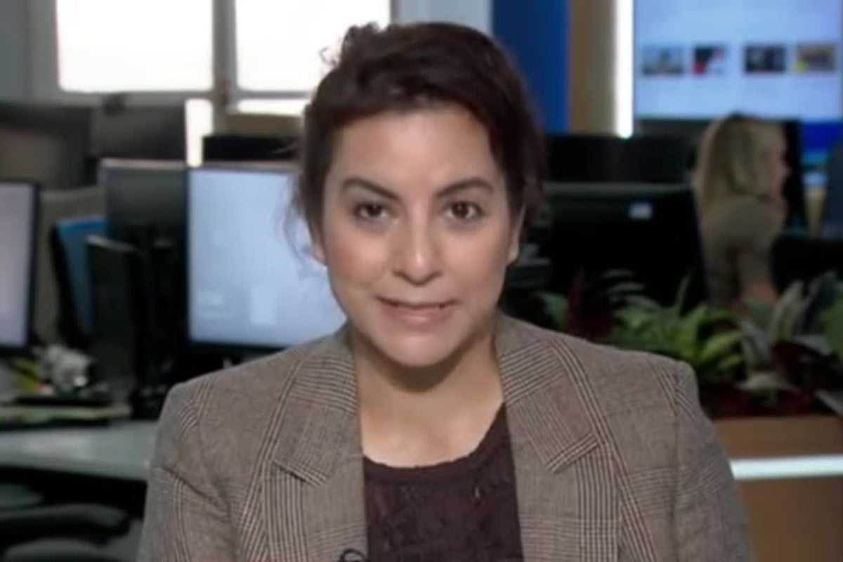 Alarm disrupts Sky News broadcast during live report