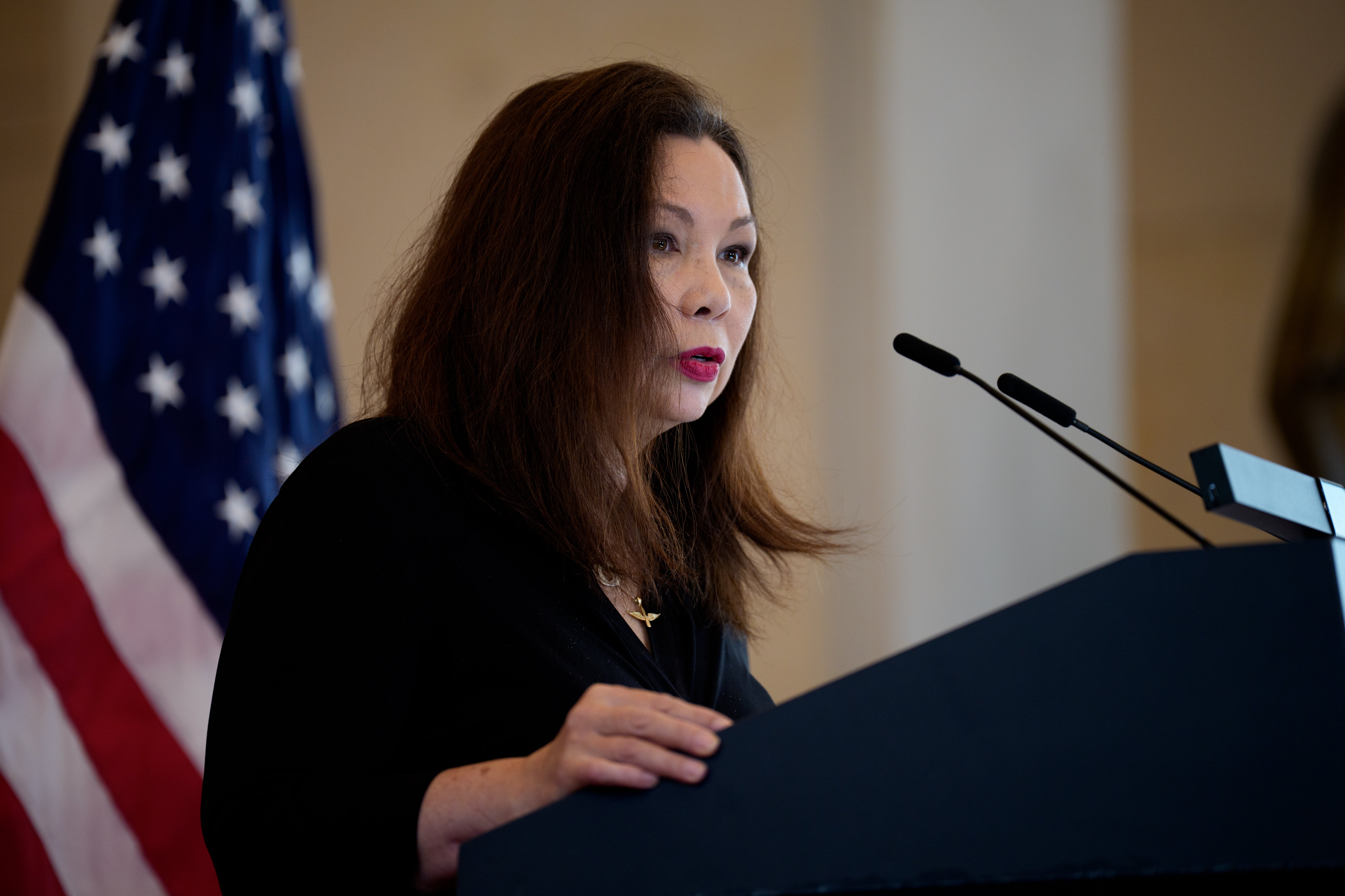 A senadora Tammy Duckworth pediu ao presidente da Câmara, Mike Johnson, que abandonasse a sua oposição à expansão do apoio à fertilização in vitro para famílias de militares, que, segundo ele, tanto os democratas como os republicanos apoiam.