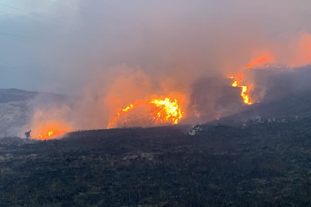 Wildfires burned for several days in the north of Scotland (SGA Media)