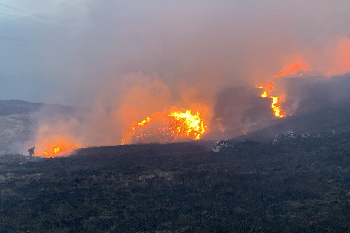 Wildfire warning as ‘extreme’ risk alert issued for parts of UK this weekend