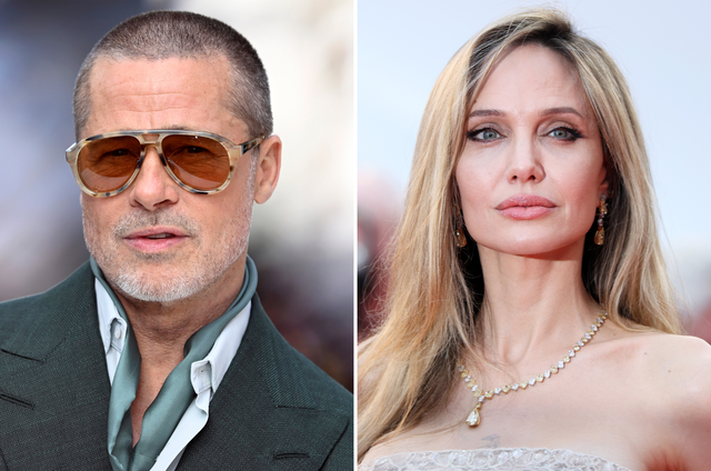<p>Brad Pitt and Angelina Jolie have been in a years-long legal battle over their French winery</p>