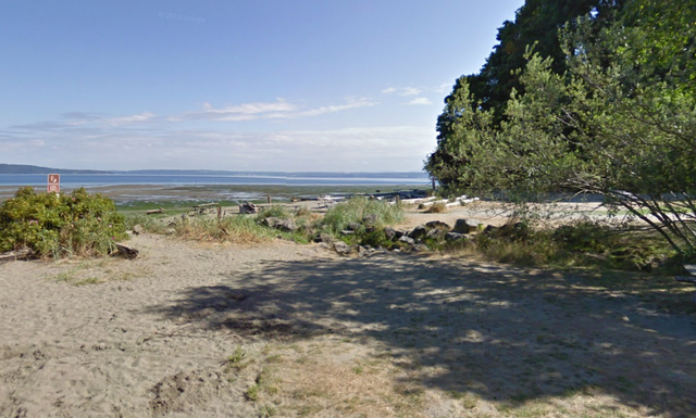 <p>An investigation has been launched after a man found a human toe in a box in a Washington state park. The gruesome discovery was made on Dash Point Beach on Father’s Day</p>