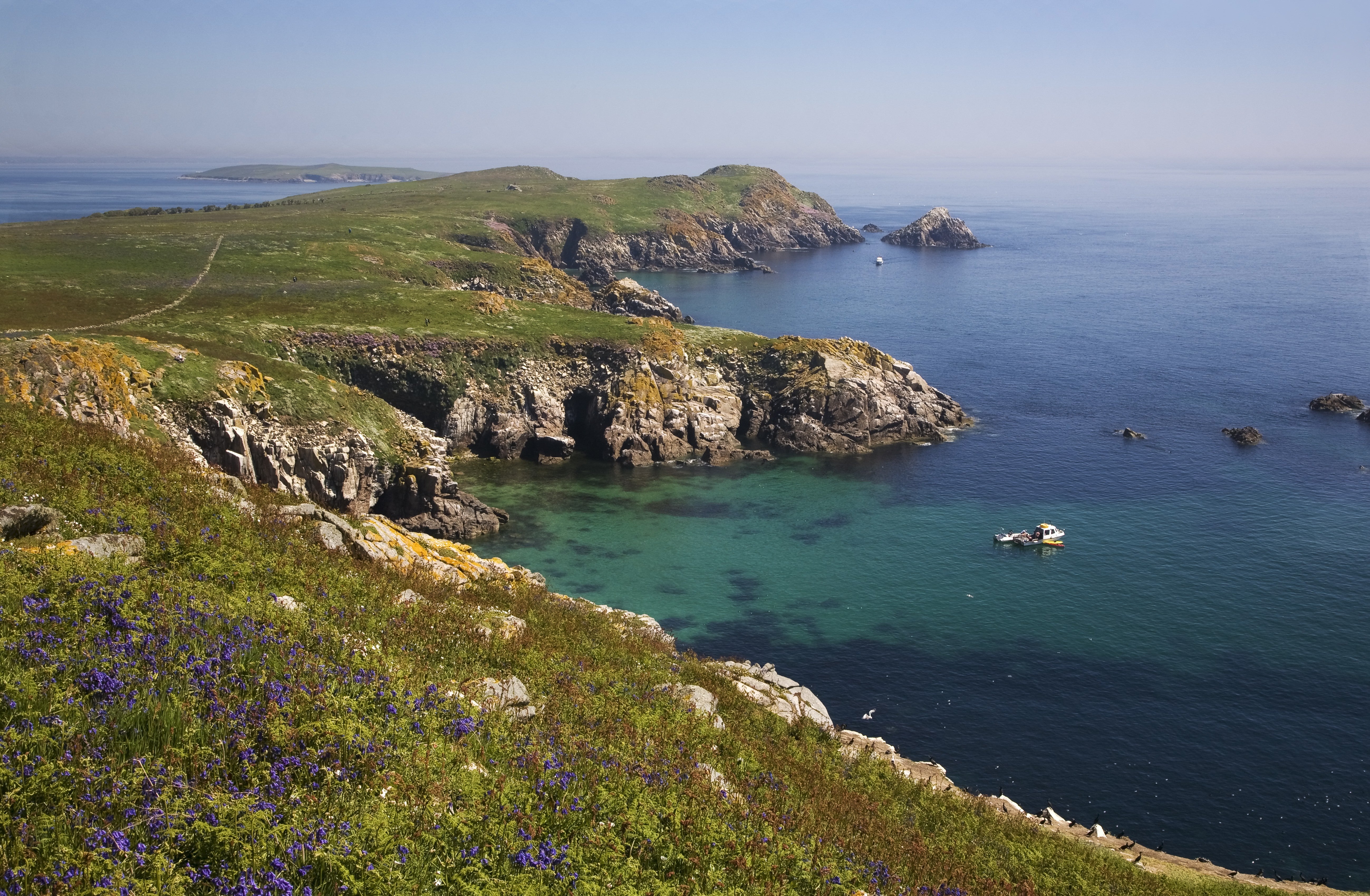 After visiting the Puffins, Nicola headed along the coastal trail on Great Saltee Island