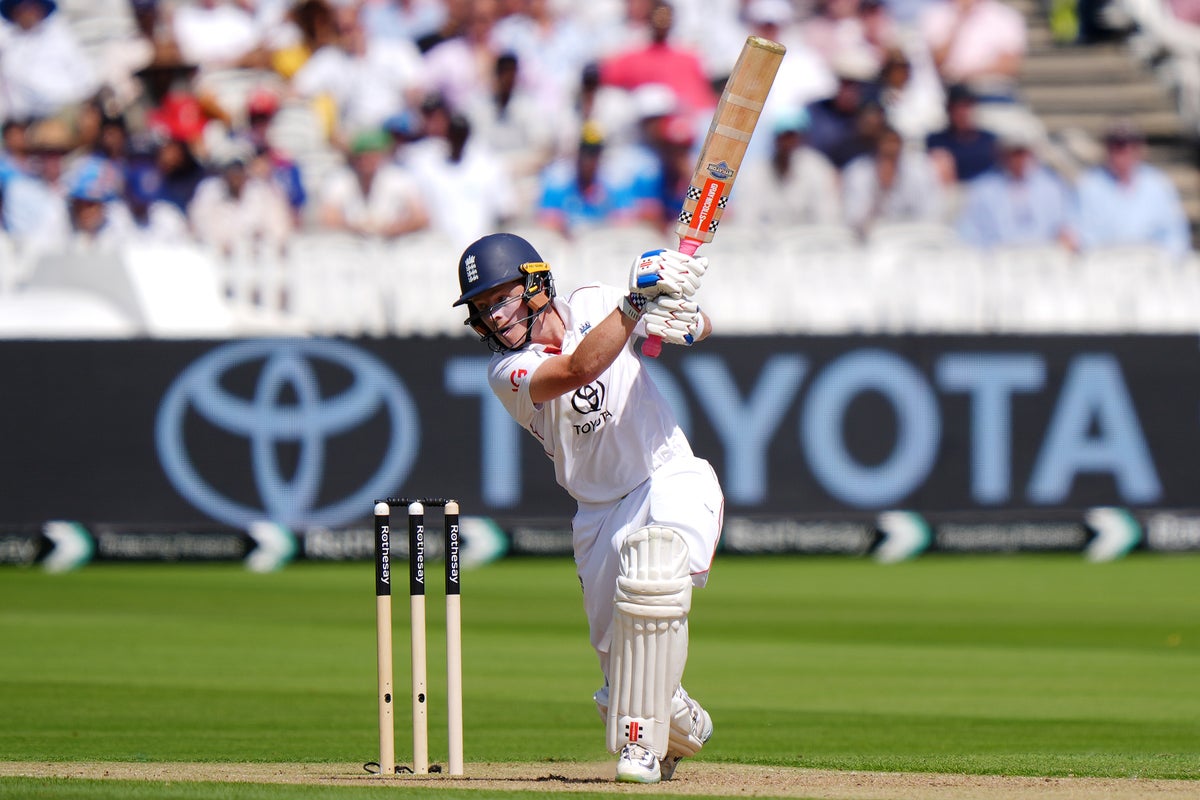 ‘That’s a first’: Ladybird swarm stops play at Lords