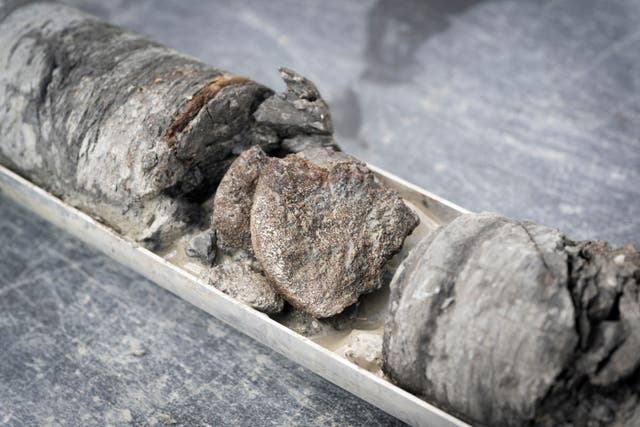 <p>Ornithopod vertebra from the Denver Formation from the City Park core drilling in the parking lot at Denver Museum of Nature and Science</p>