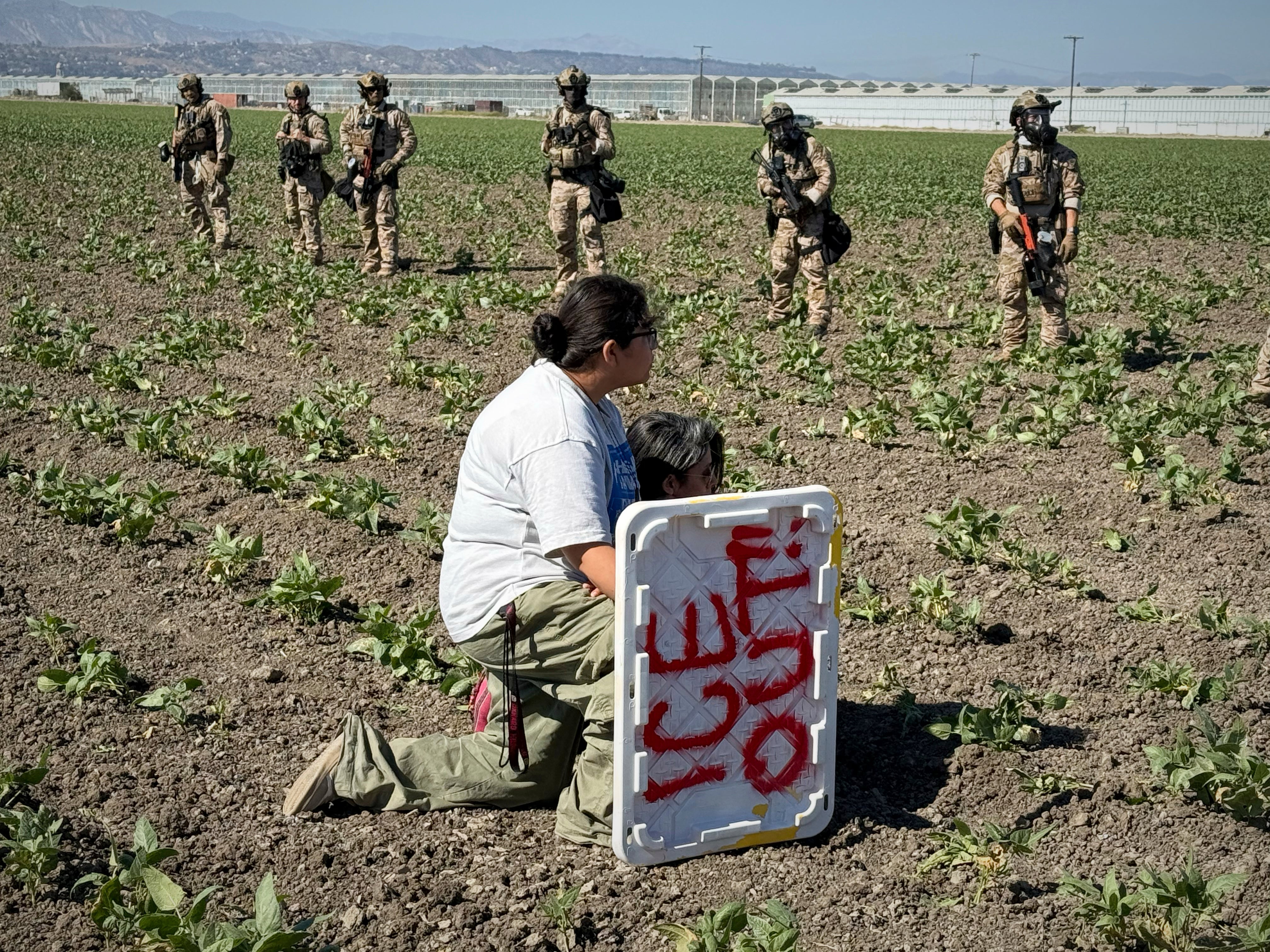 APTOPIX Immigration Raids California Farm