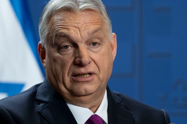 Hungary Ukraine Beating Death