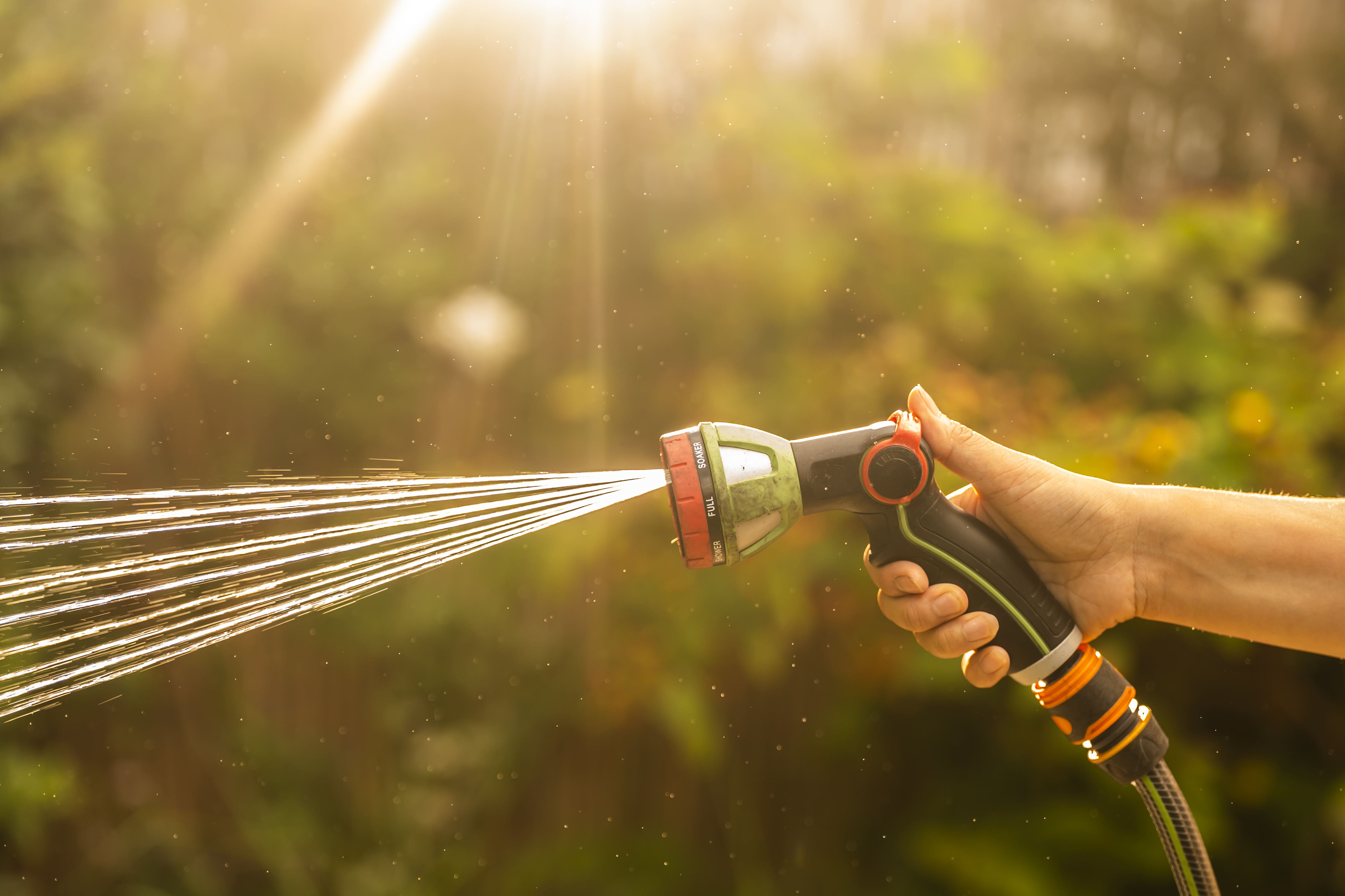 Hosepipe bans have been introduced across parts of England