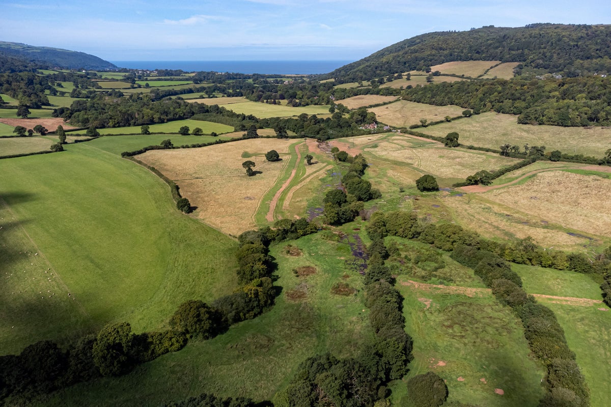 National Trust Job Cuts Linked to Budget Pressures