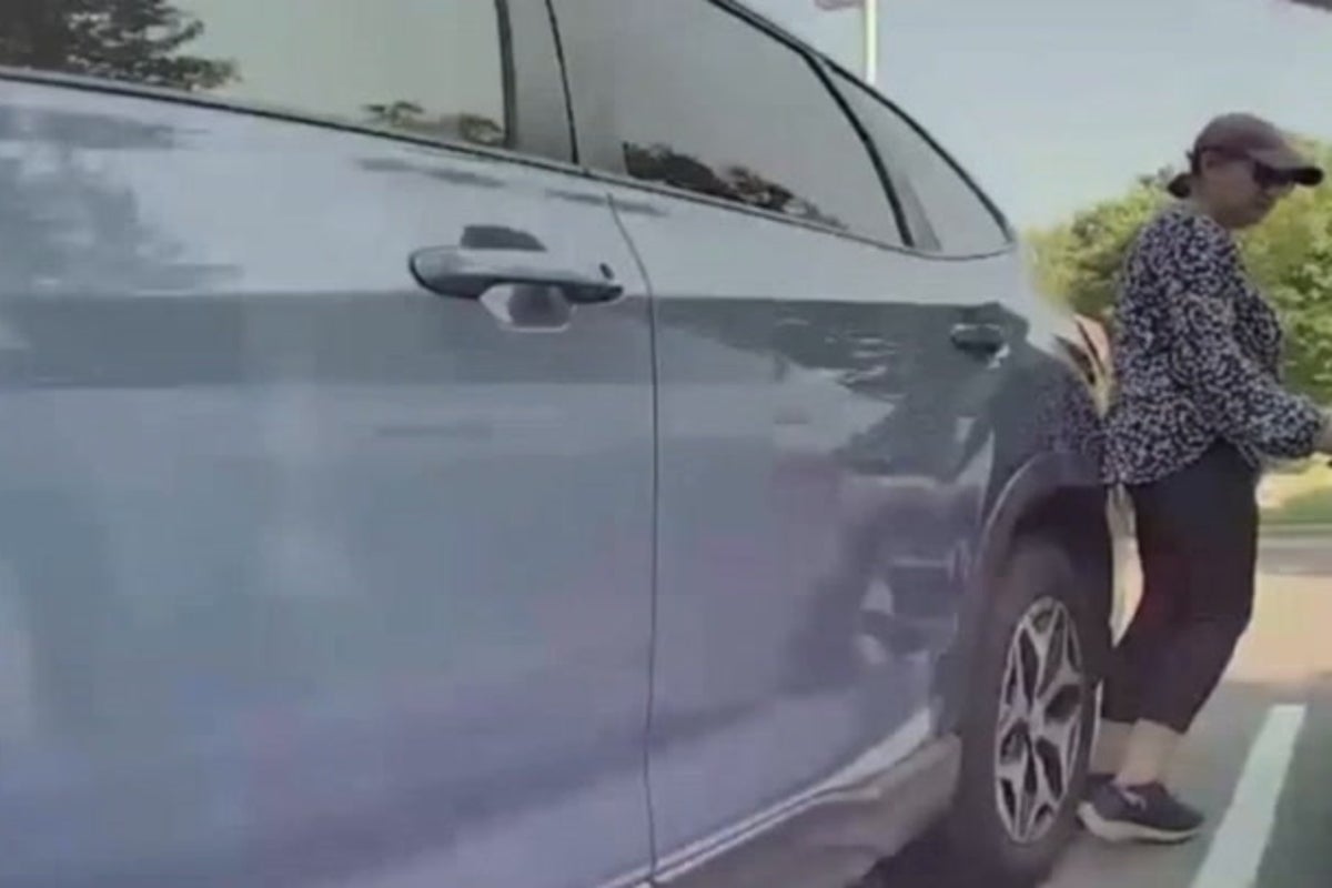Police launch hunt for woman caught on video vandalising Tesla