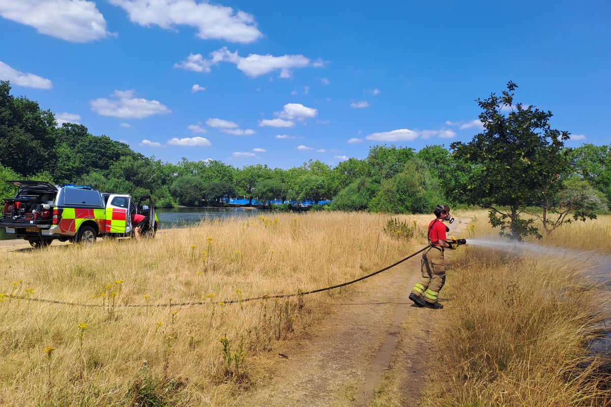 Firefighters tackle blaze in London park as brigade issues wildfire warning