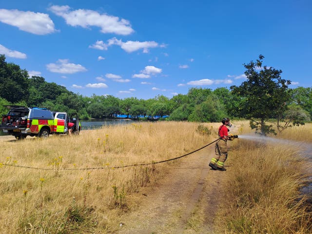 <p>The blaze took place on Wanstead Flats, near Capel Road in Manor Park</p>