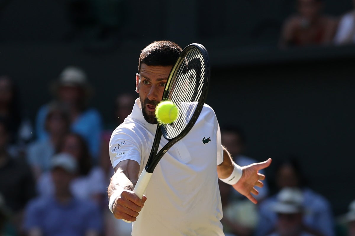 Wimbledon 2025 live: Djokovic and Sinner face off to play Alcaraz in final after Fritz beaten