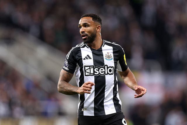 <p>Callum Wilson believes he still has a lot more to offer after leaving Newcastle</p>